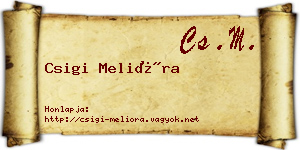 Csigi Melióra névjegykártya